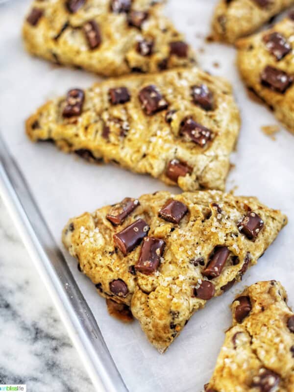 mocha chocolate chip scones