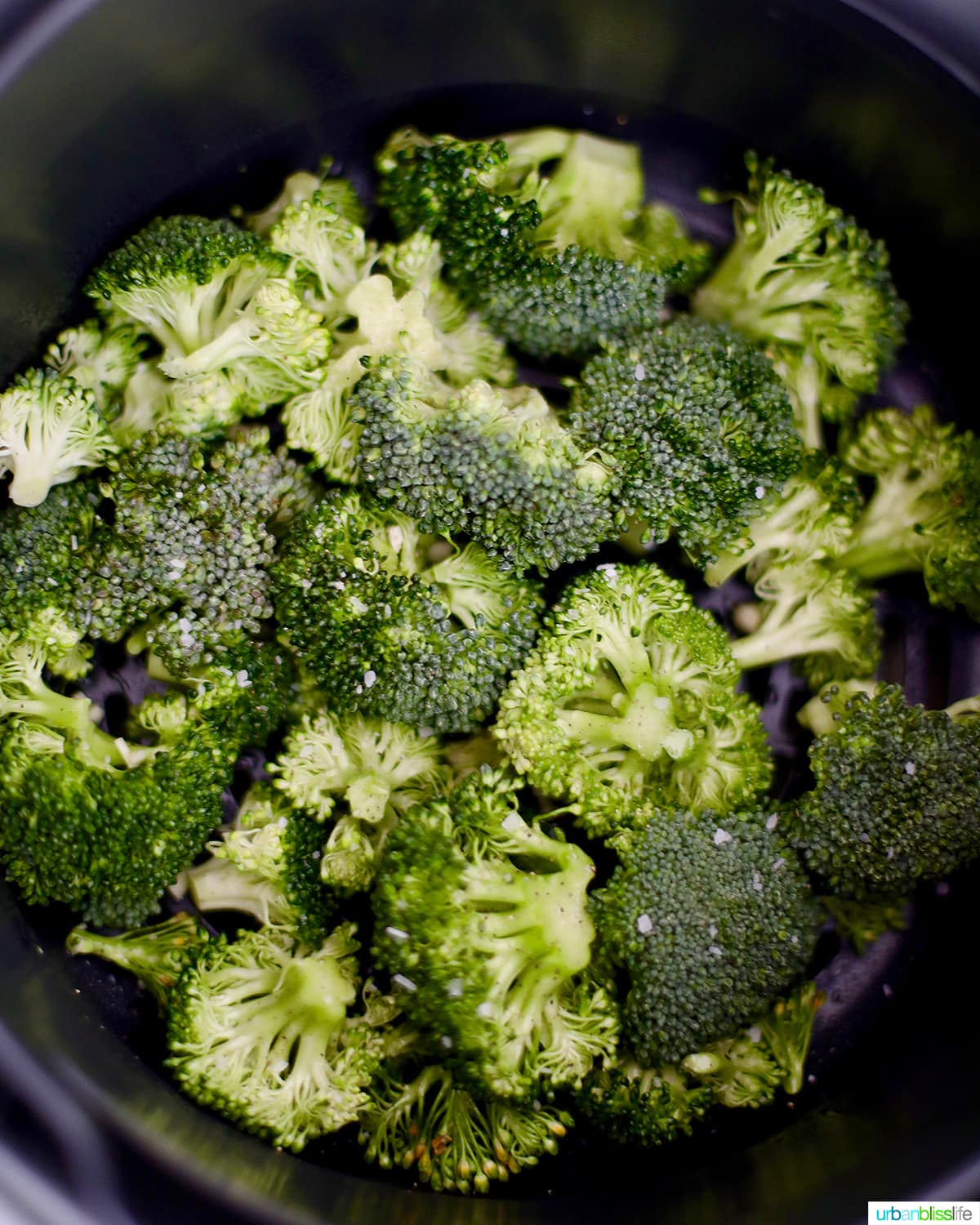 Ninja Foodi Steam & Crisped Broccoli - The Salted Pepper