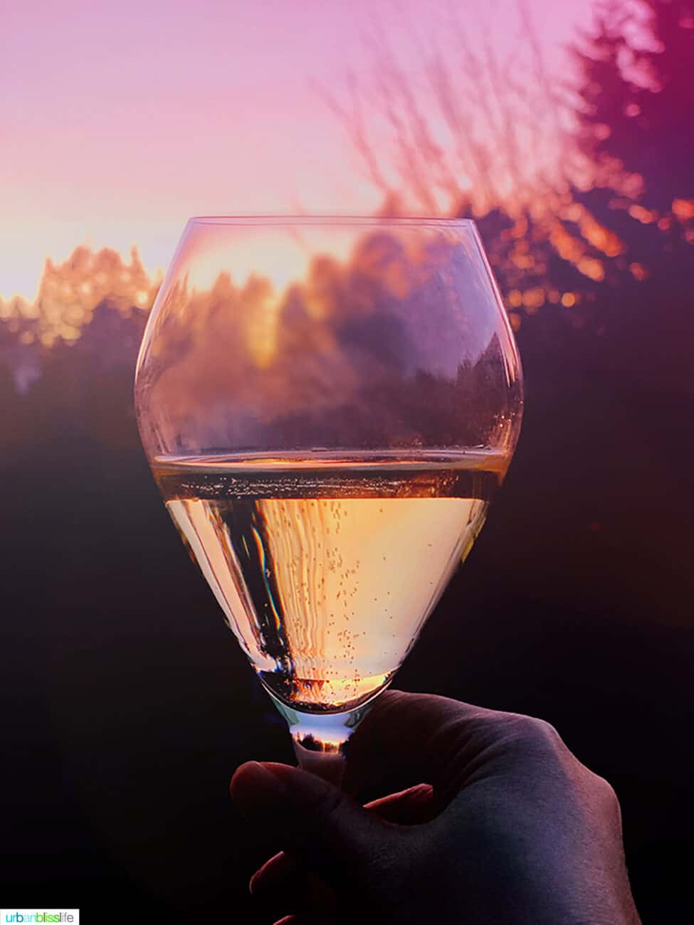 Champagne glass against sunset
