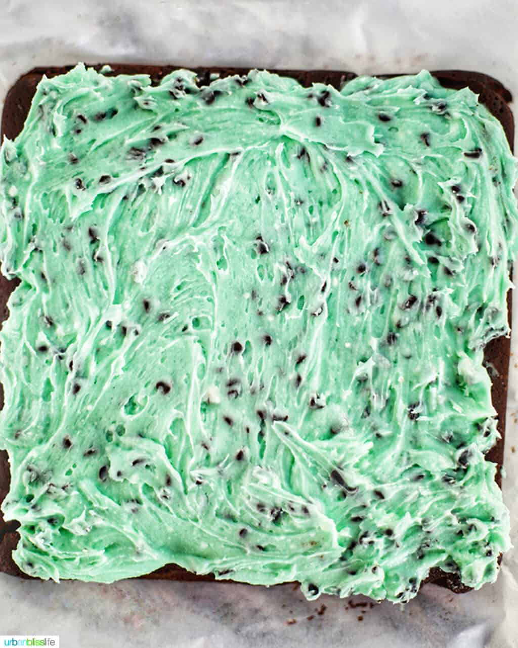 mint chocolate chip frosting on brownies