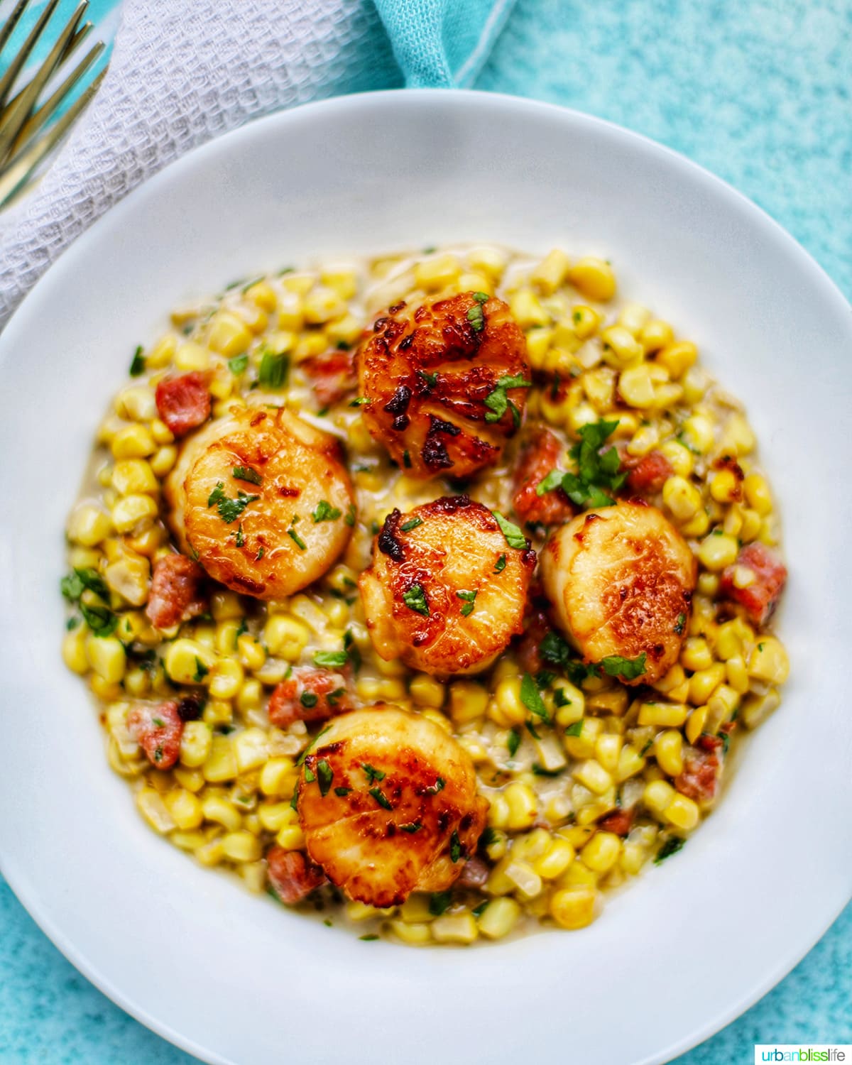Seared scallops with corn and longganisa in a white bowl on a bright blue background.