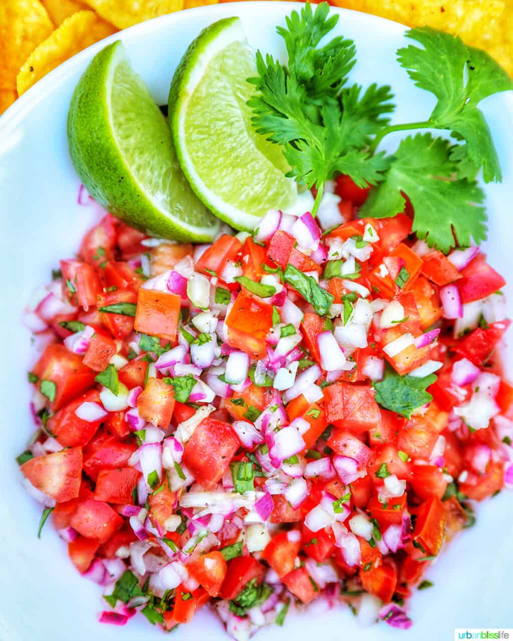 Easy Pico de Gallo Salsa Recipe - Urban Bliss Life