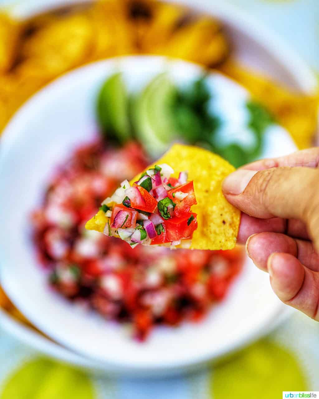 pico de gallo on a tortilla chip