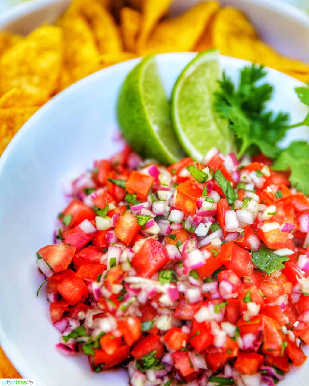 bowl of pico de gallo with tortilla chips