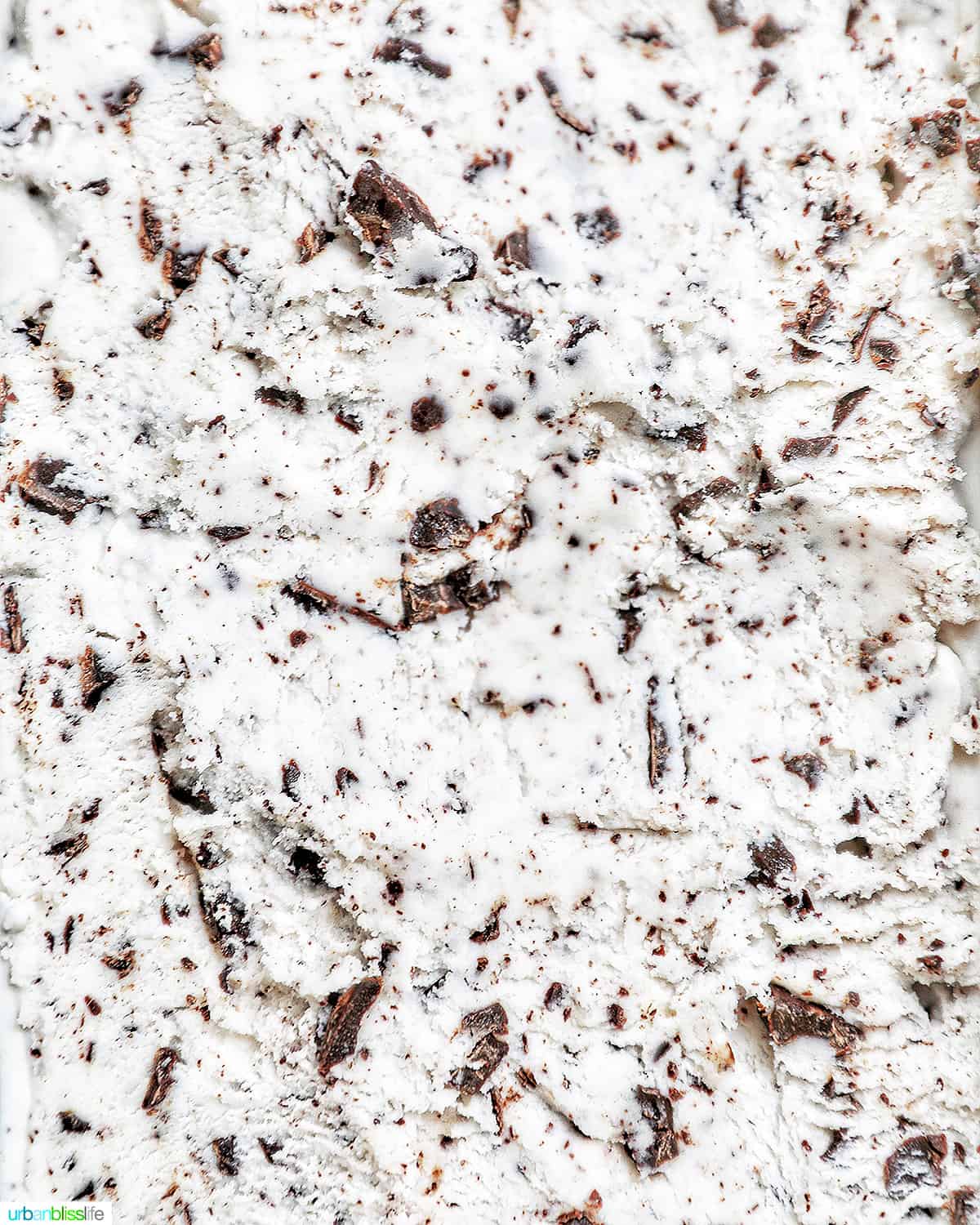 closeup photo of dairy-free chocolate chip ice cream in a pan.