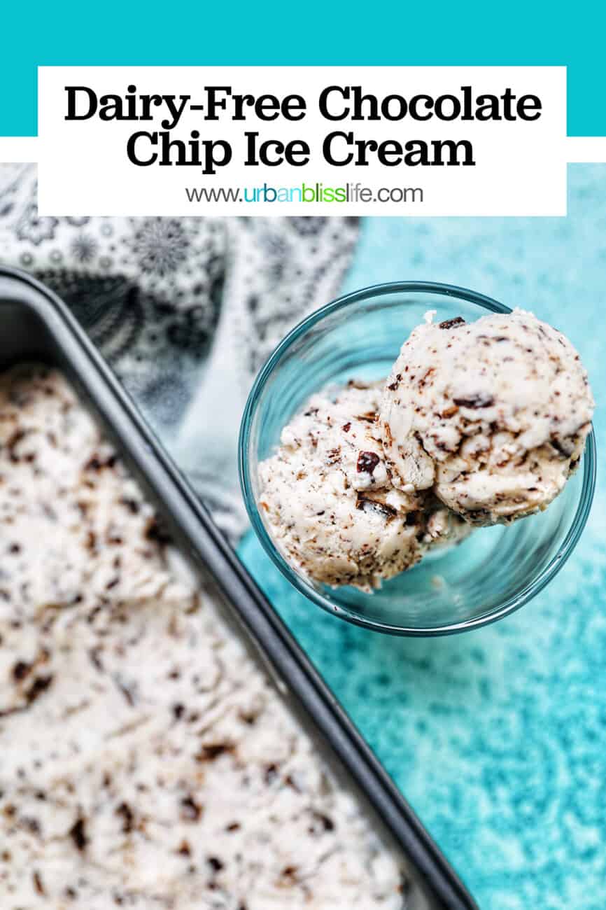dairy-free chocolate chip ice cream with text