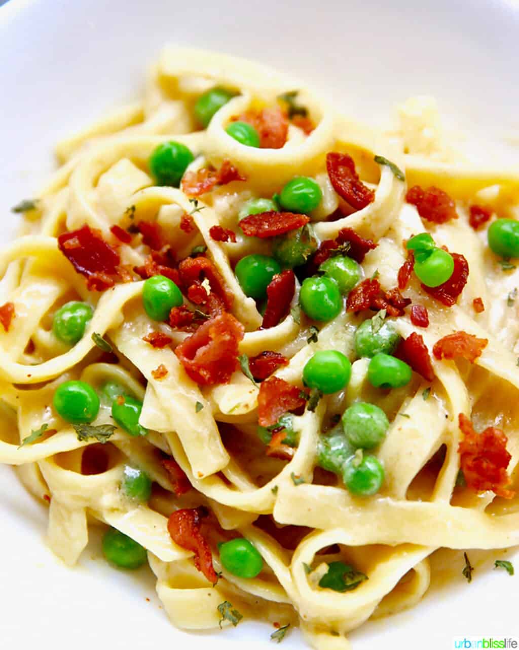 closeup Fettuccine with Bacon and Peas FEATURE