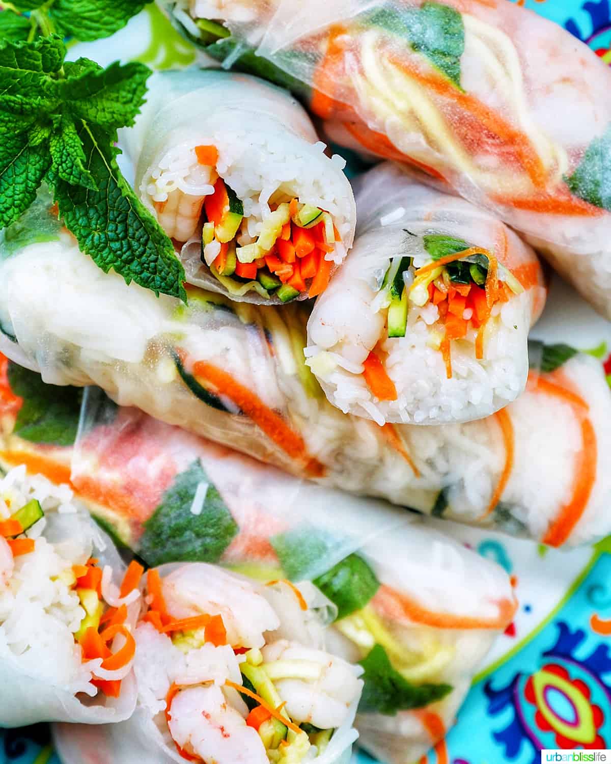Shrimp Summer Rolls with Peanut Sauce with Peanut Sauce Urban Bliss Life