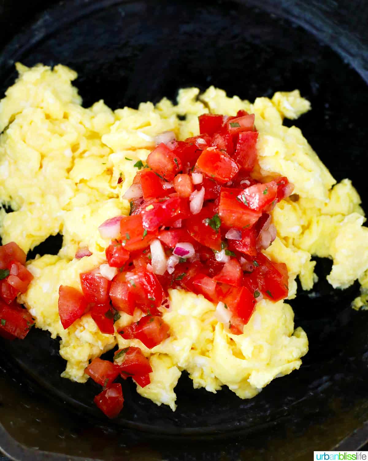 https://urbanblisslife.com/wp-content/uploads/2021/06/Eggs-with-salsa-in-skillet.jpg