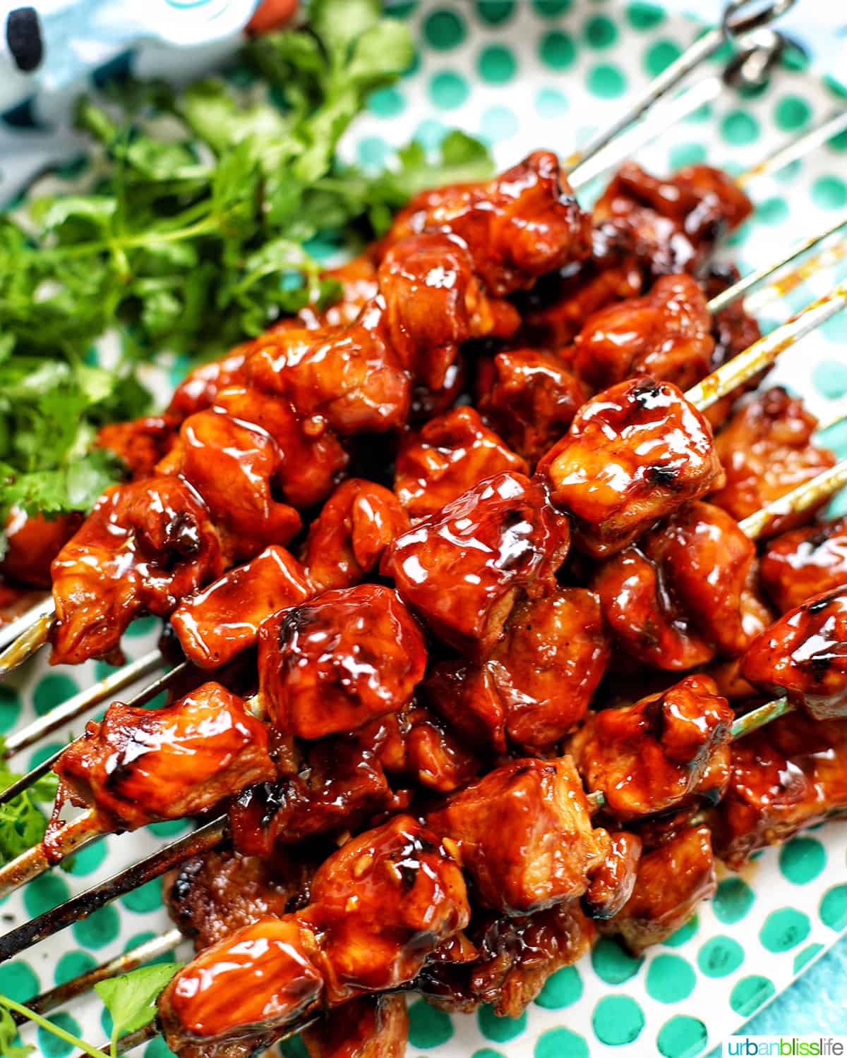 closeup of Filipino BBQ pork skewers with cilantro leaves