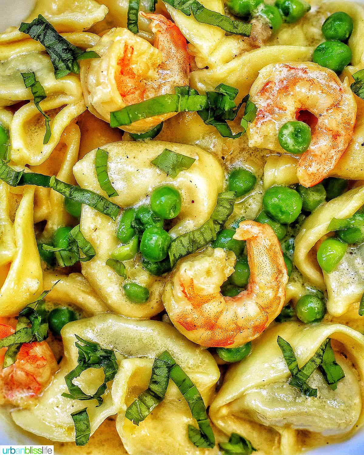 closeup of Dairy-Free Shrimp Tortellini with Peas