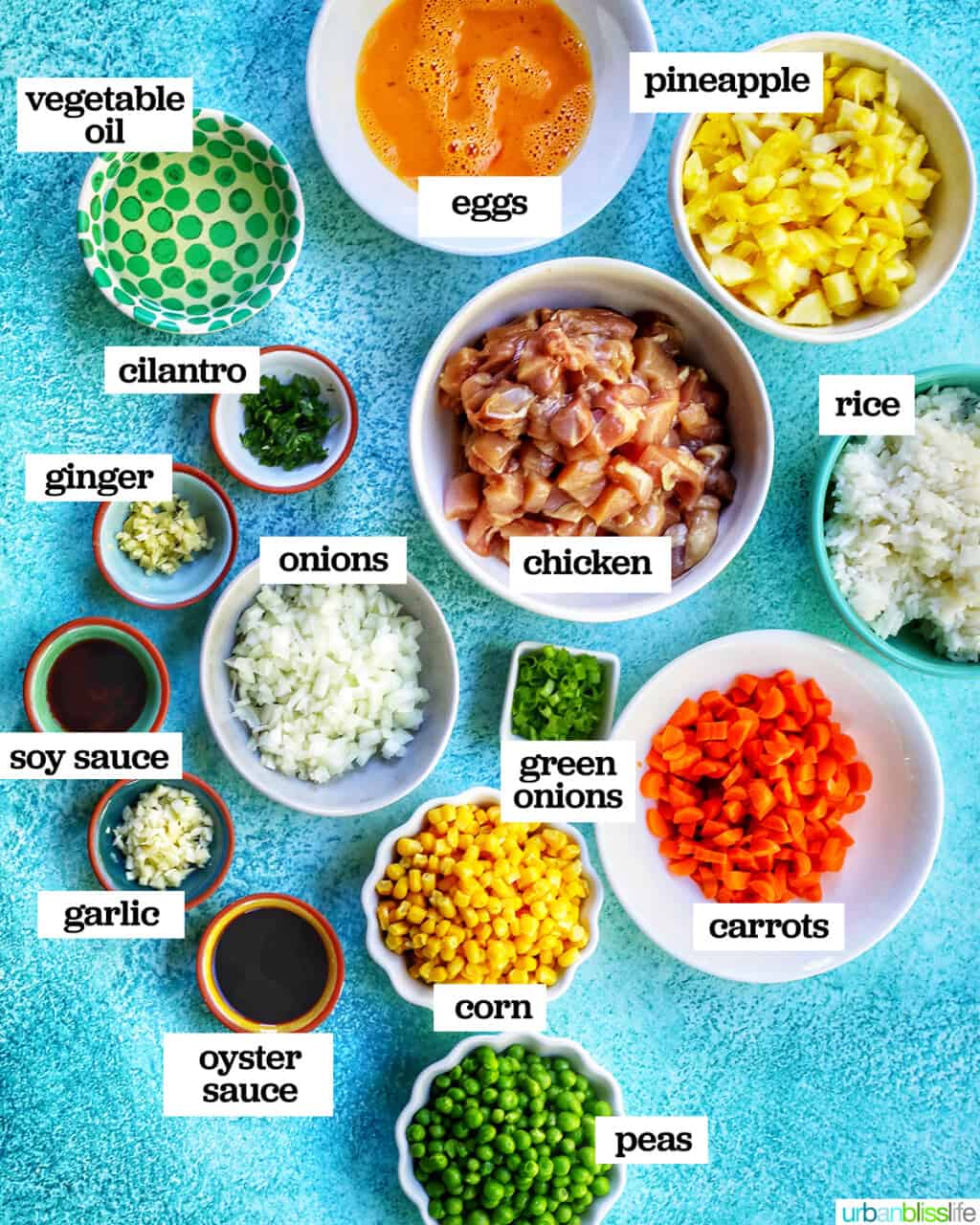 ingredients to make chicken pineapple fried rice
