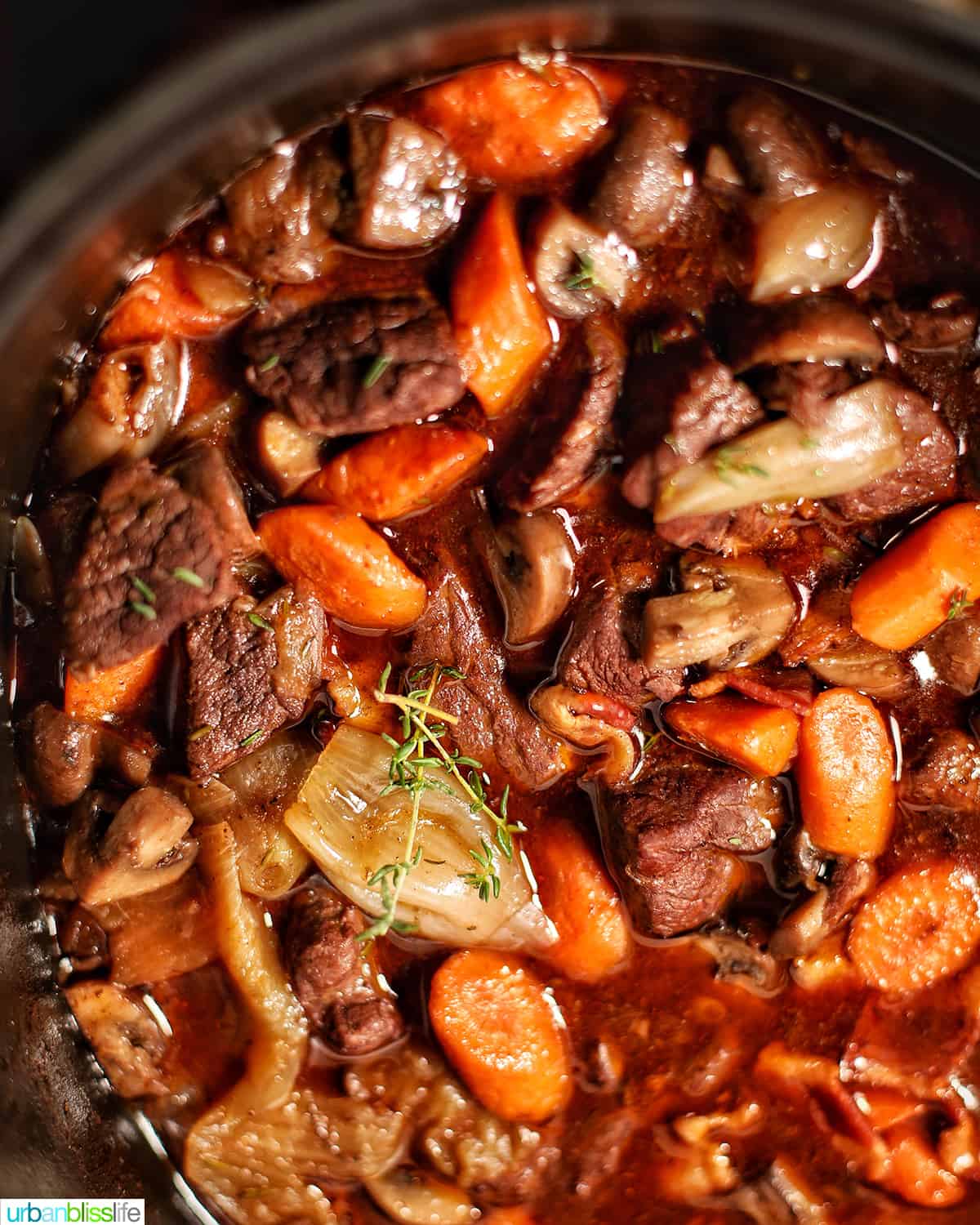 close up of beef bourguignon in big bowl with beef, carrots, bacon.