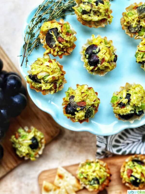 curry chicken salad appetizers