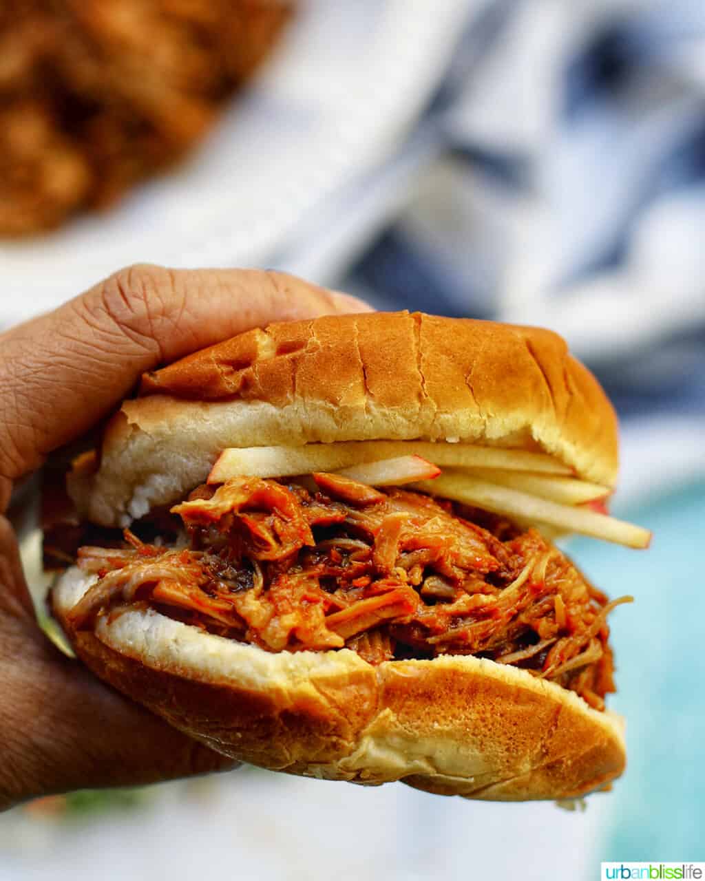 hand holding a pulled pork sandwich