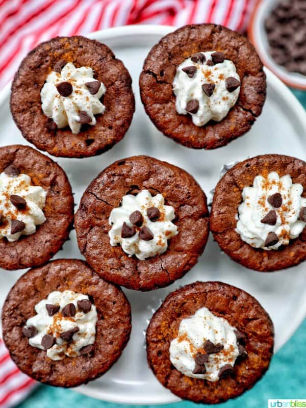 Mini Brownie Bites Eggnog Whipped Cream on white plate