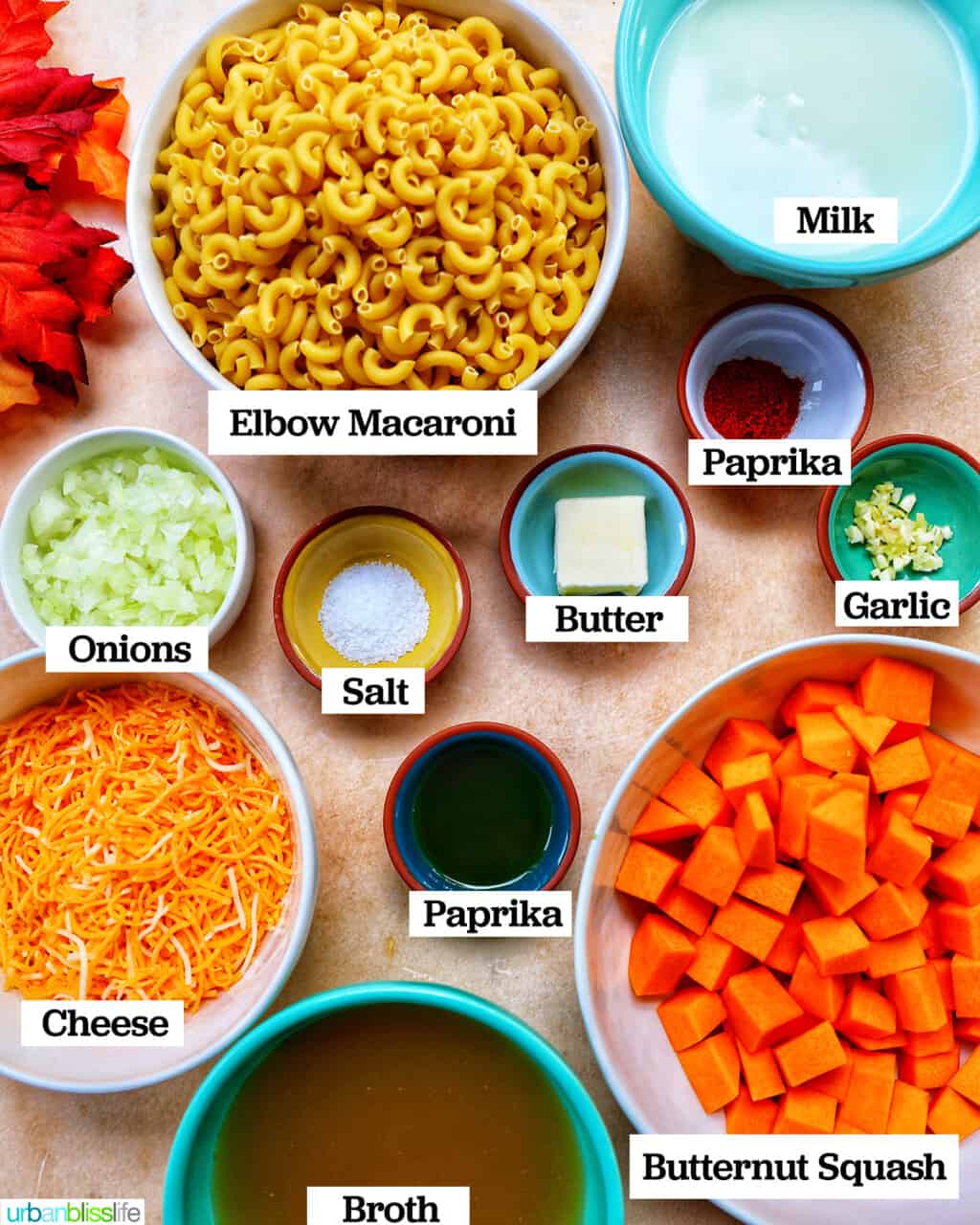 ingredients to make instant pot butternut squash mac and cheese
