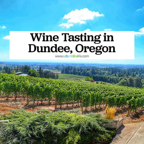 Beautiful vineyard view from Dusky Goose Winery with title text that reads "Wine Tasting in Dundee, Oregon."