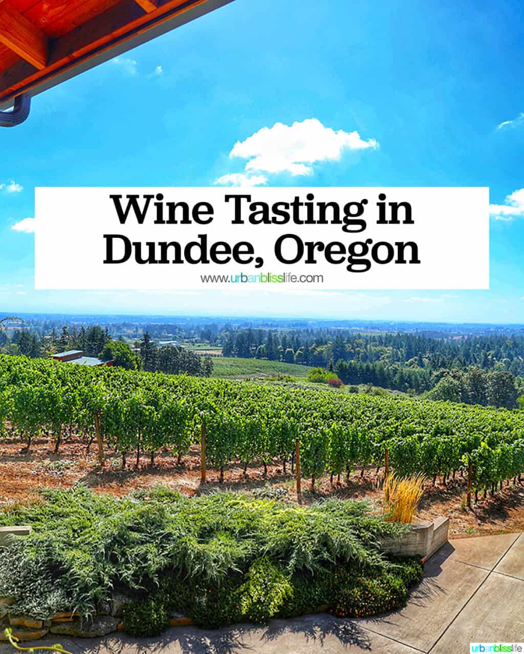 Beautiful vineyard view from Dusky Goose Winery with title text that reads "Wine Tasting in Dundee, Oregon."