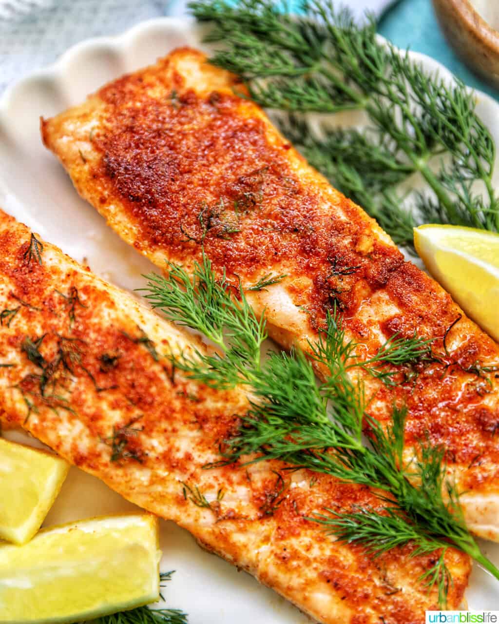 air fryer salmon with dill and lemon