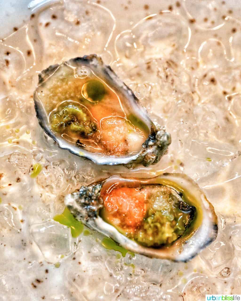 oysters at at Quaintrelle restaurant in Portland, Oregon.