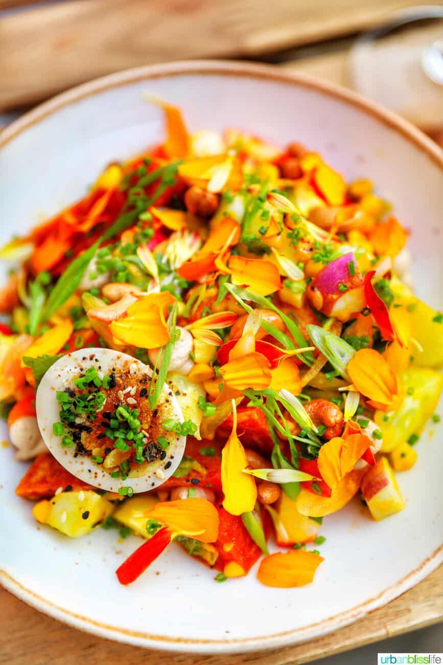 colorful salad at at Quaintrelle restaurant in Portland, Oregon.