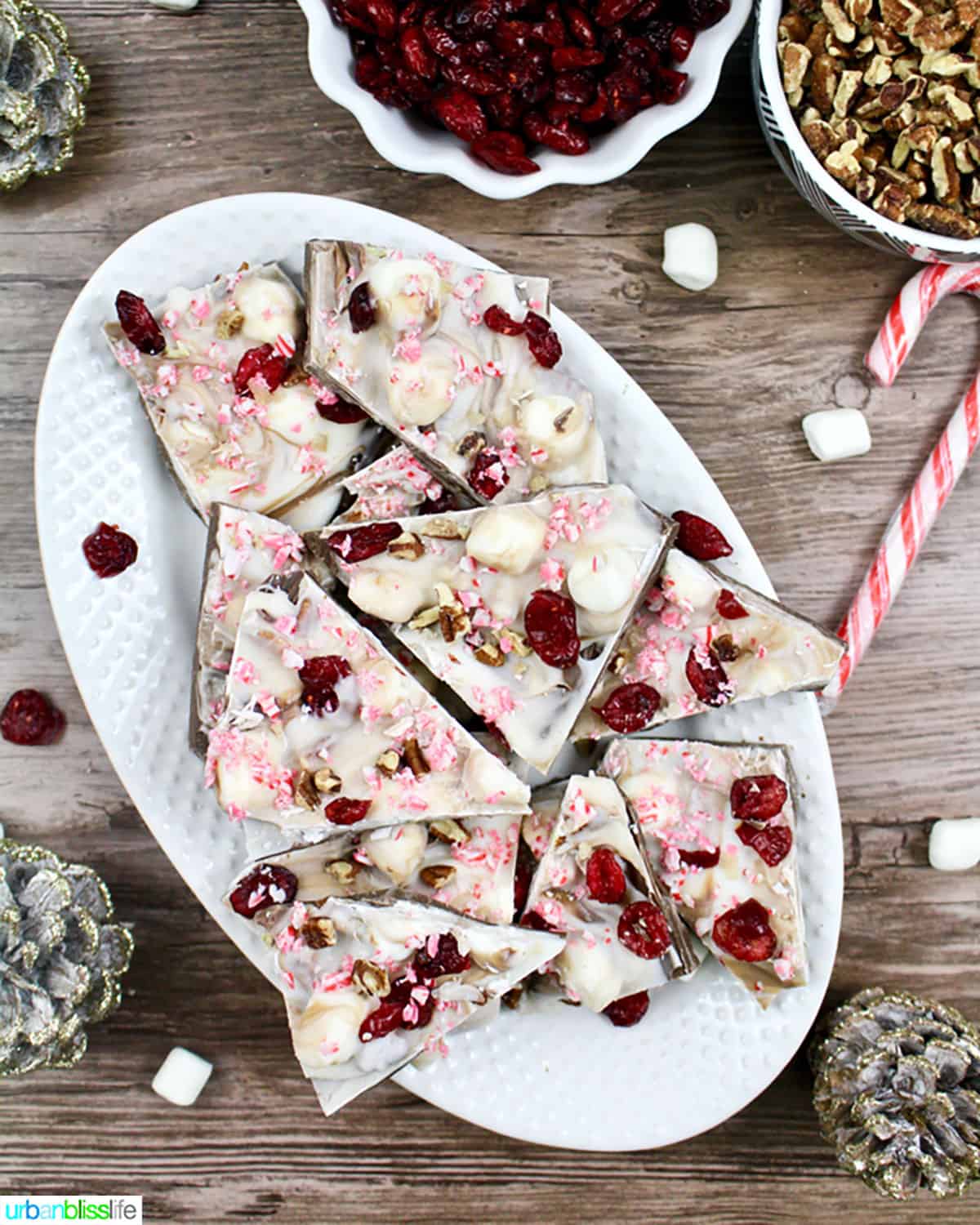 broken pieces of white chocolate cranberry bark with peppermint, cranberries, pecans, and marshmallows on a white plate with candy canes.