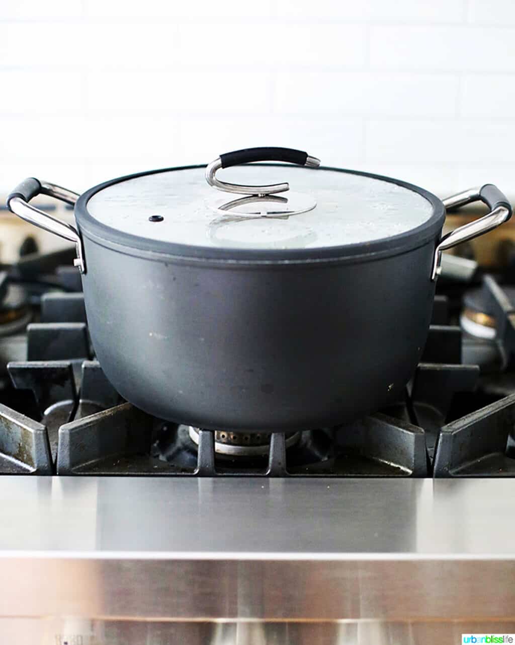 DaTerra Cucina 8 quart dutch oven