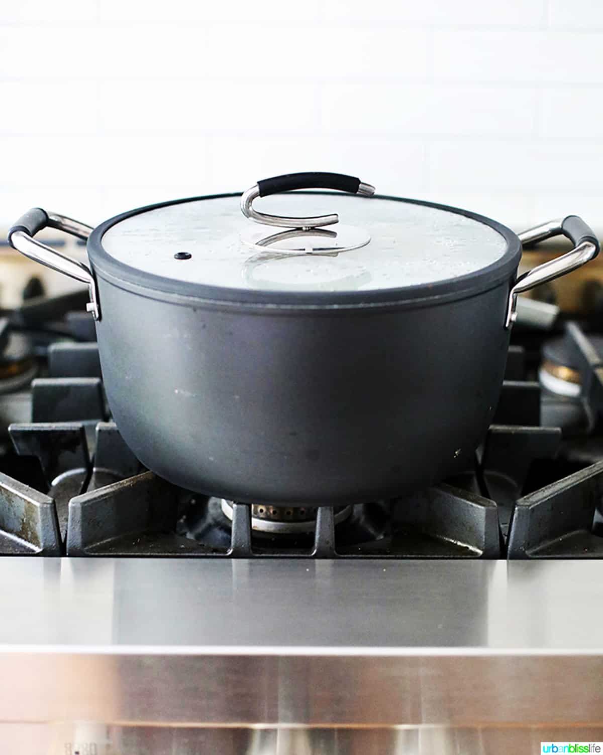 large stockpot with lid on a stovetop.