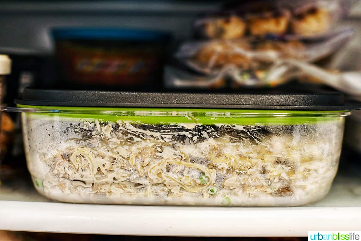 Turkey Tetrazzini in freezer container