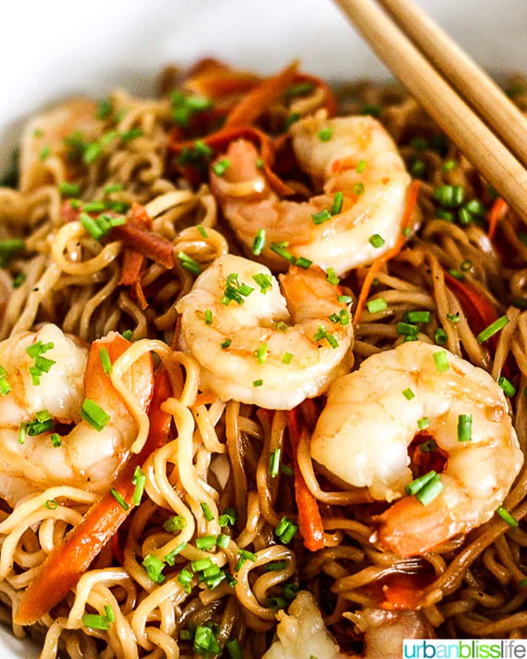 Shrimp Lo Mein Noodles close up