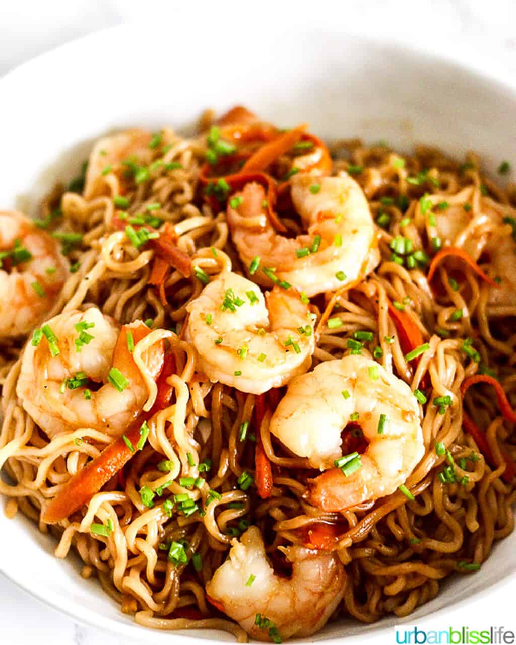 Shrimp Lo Mein in a bowl close up