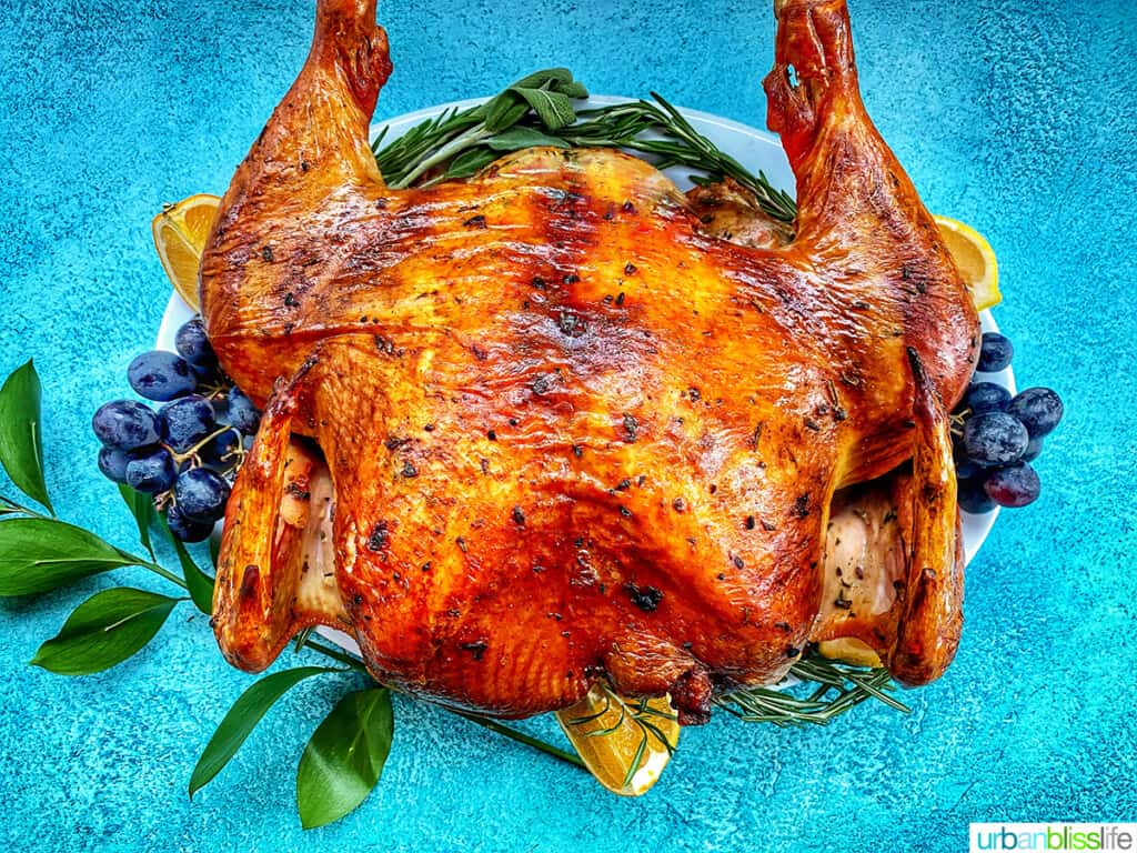 Spatchcock turkey on blue background