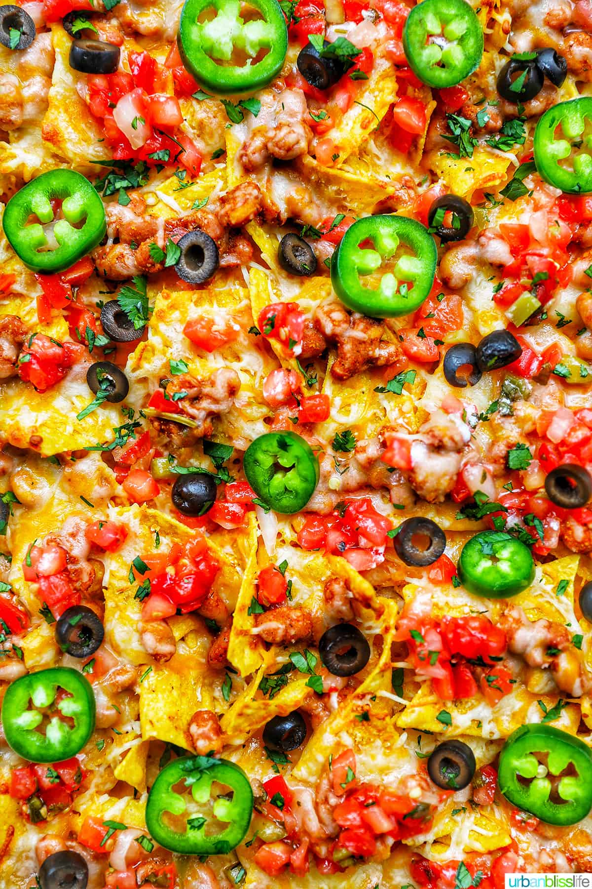 Tex-Mex Vegetarian Sheet Pan Nachos - Urban Bliss Life