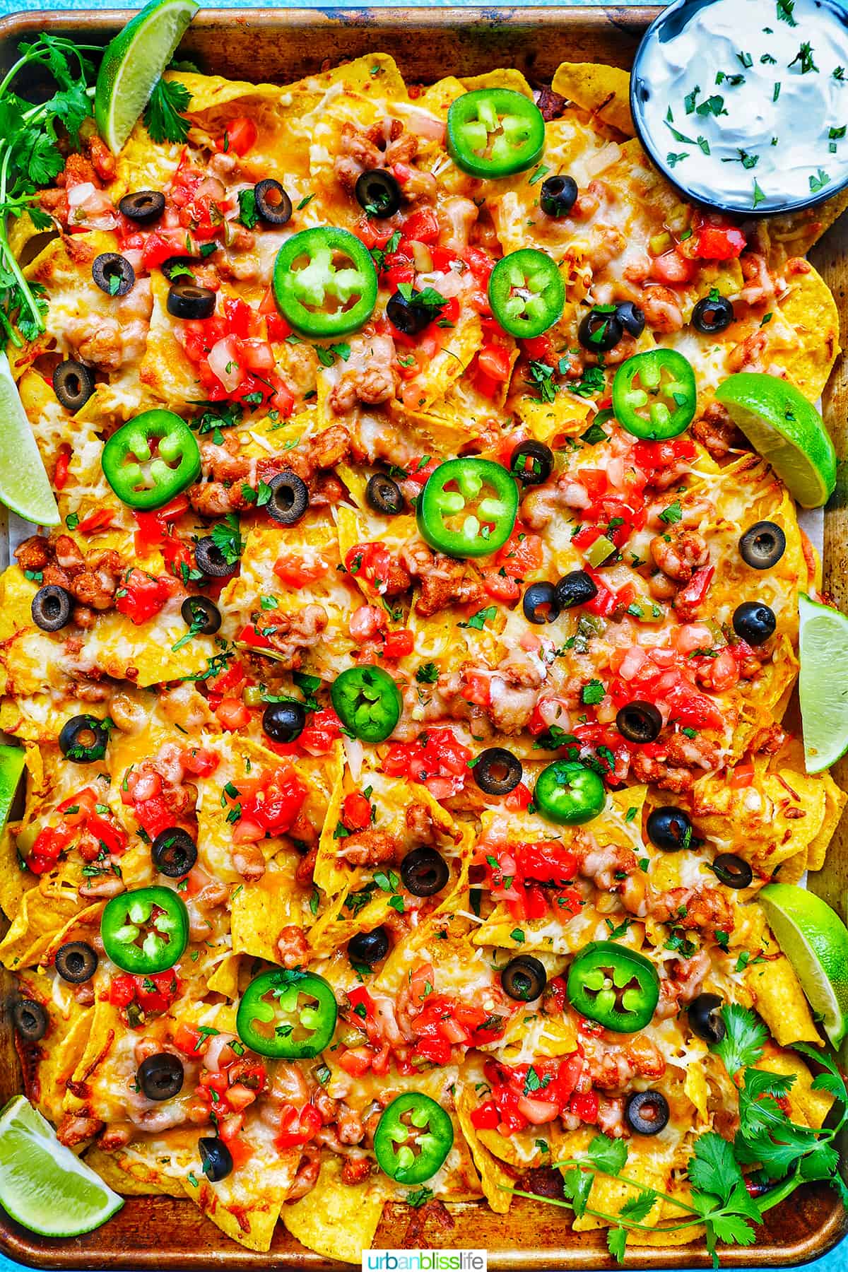 Sheet Pan Tex Mex Vegetarian Nachos