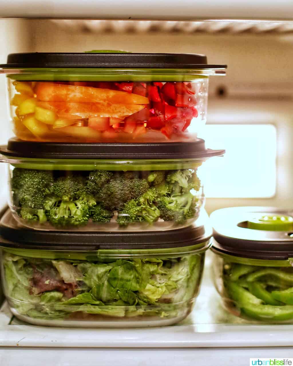 Vacuum sealed vegetables in the refrigerator