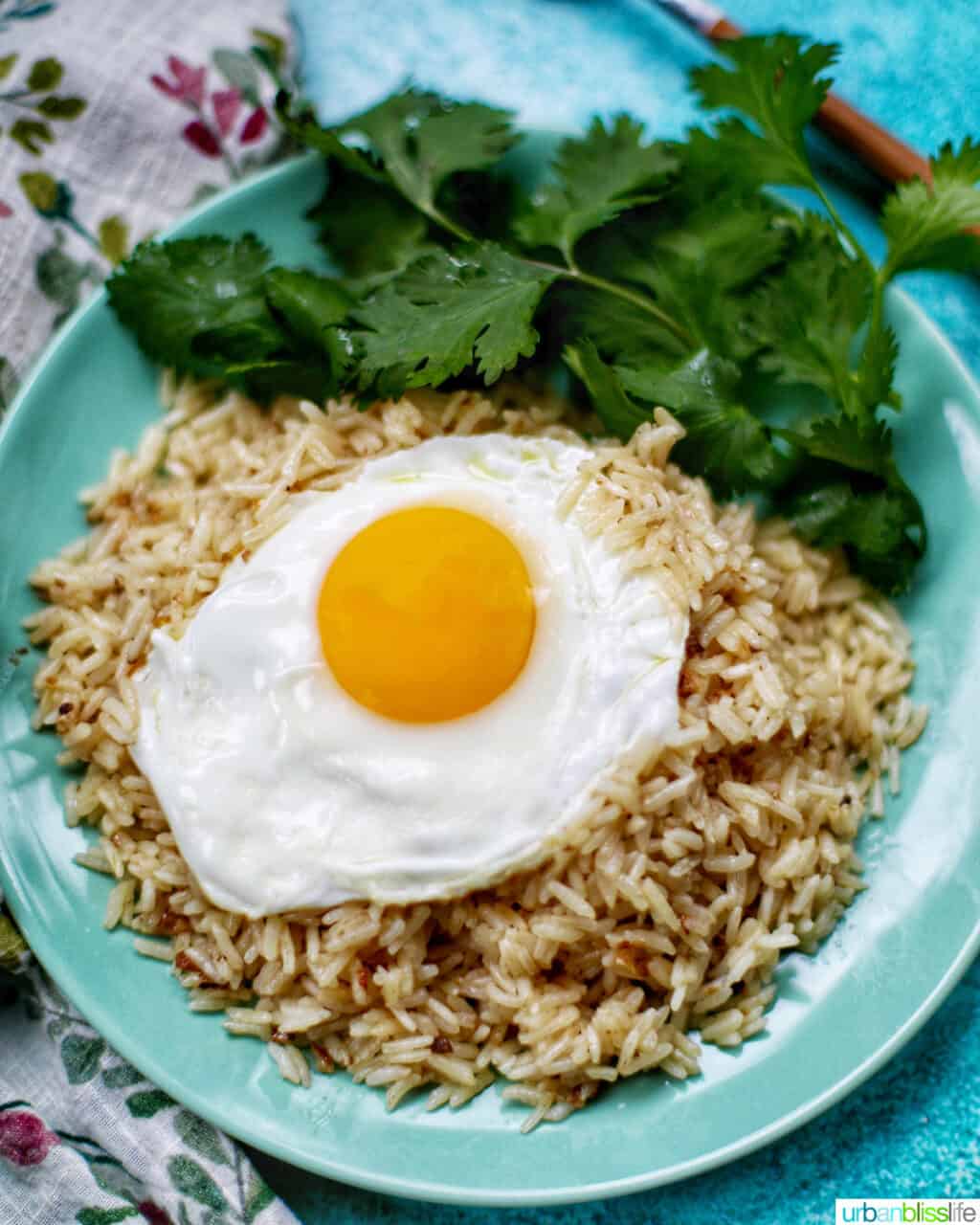 instant pot garlic rice with fried egg