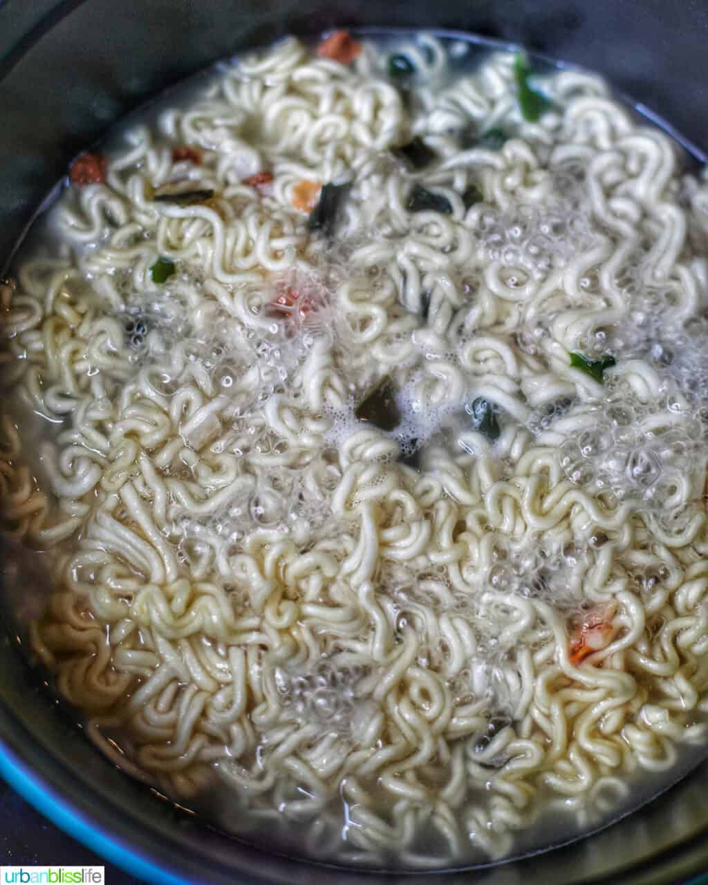 ramen and udon noodles boiling in water