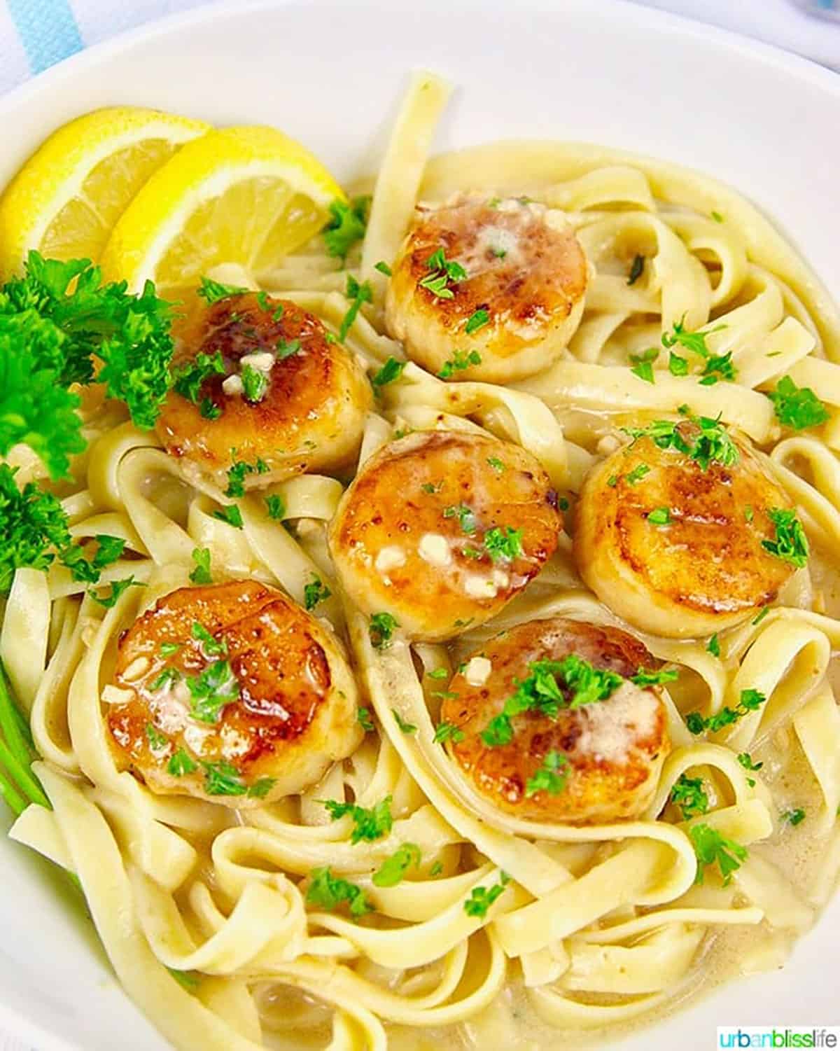 Lemon garlic scallop pasta with parsley.