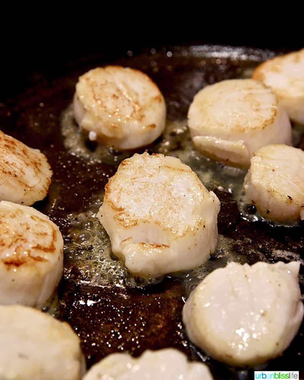 scallops searing in skillet