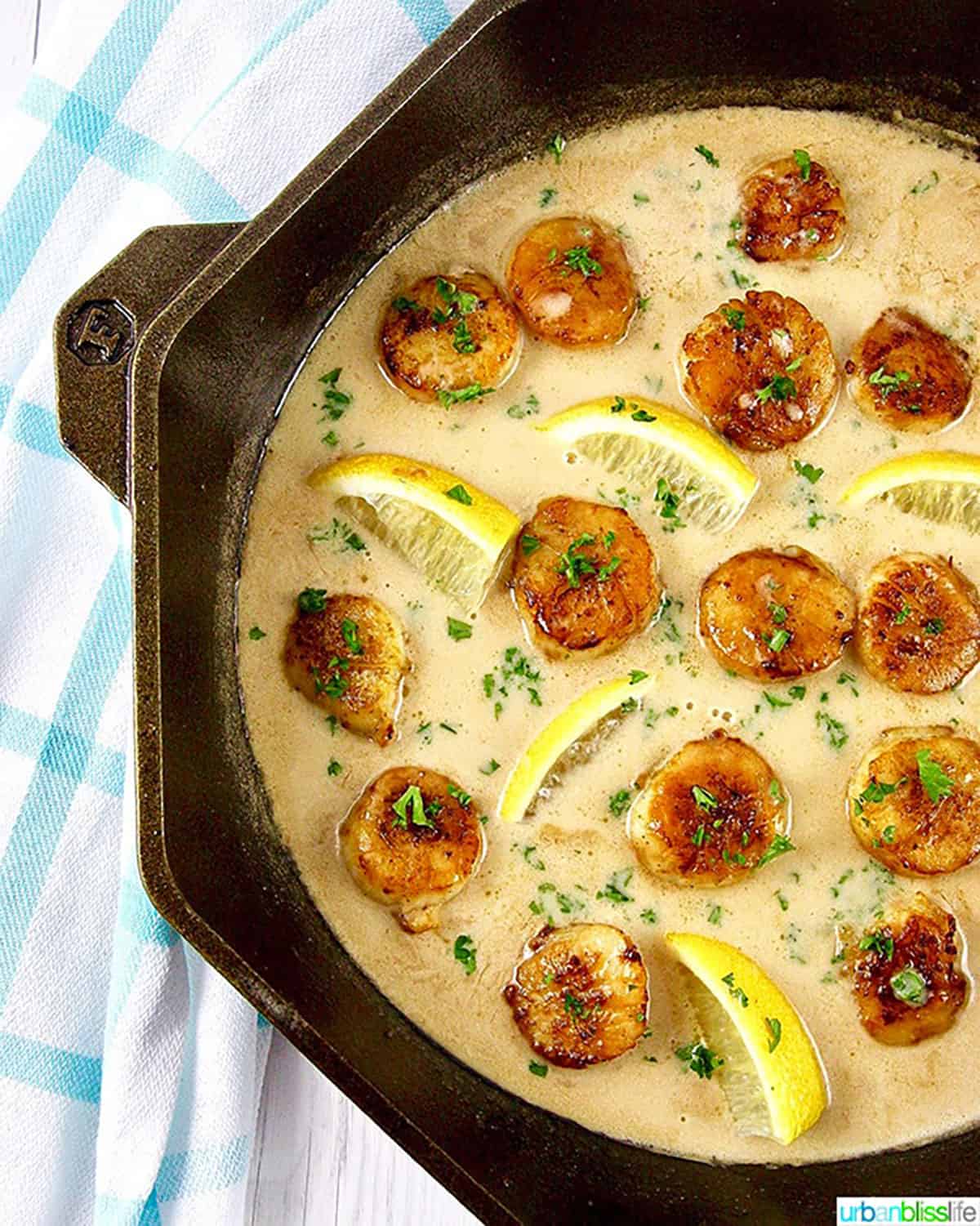 Lemon garlic scallop pasta in cast iron skillet