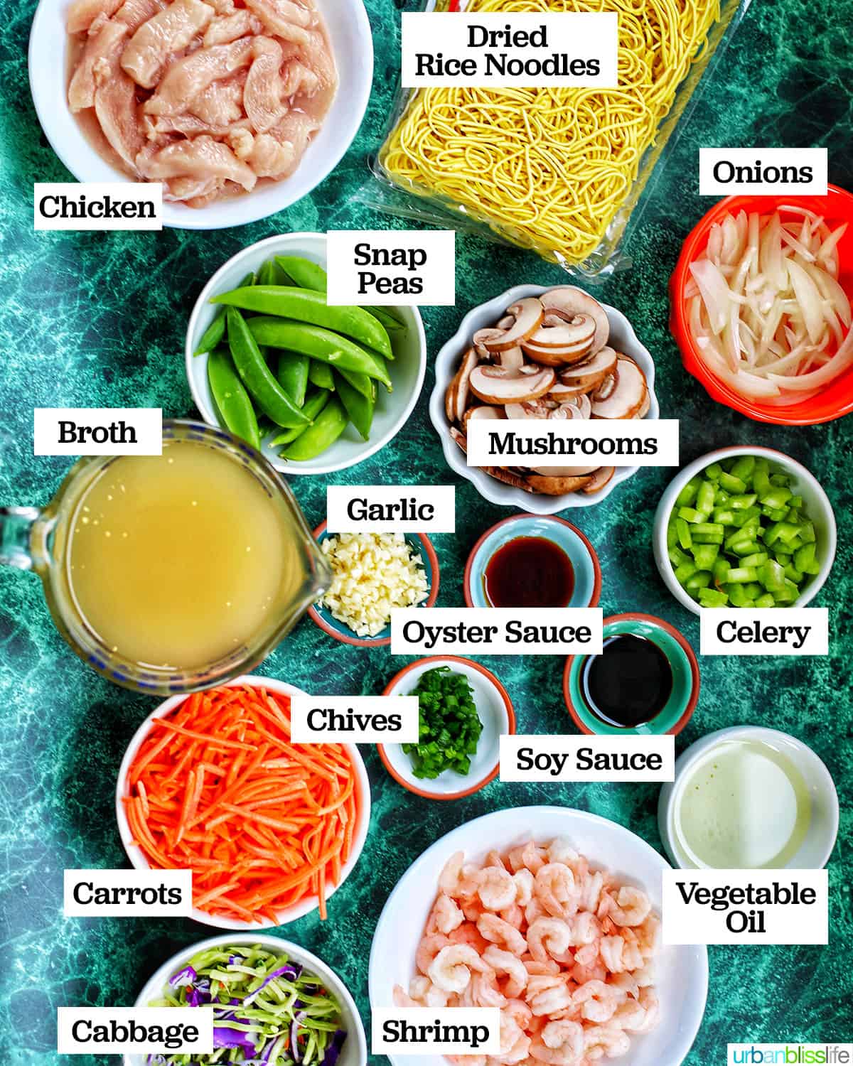 ingredients for making Filipino pancit canton noodles, including shrimp, chicken, broth, noodles, and lots of vegetables.