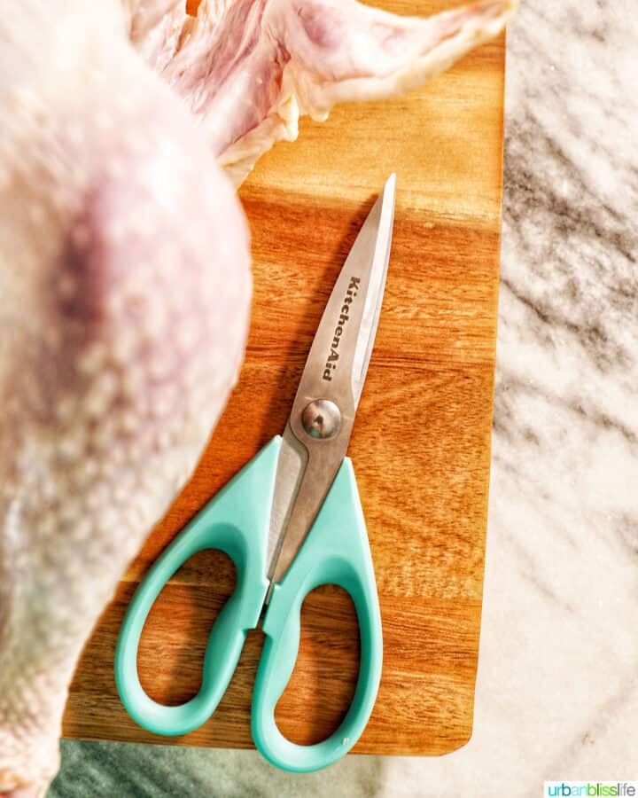 Home Cook's Kitchen Knife Guide