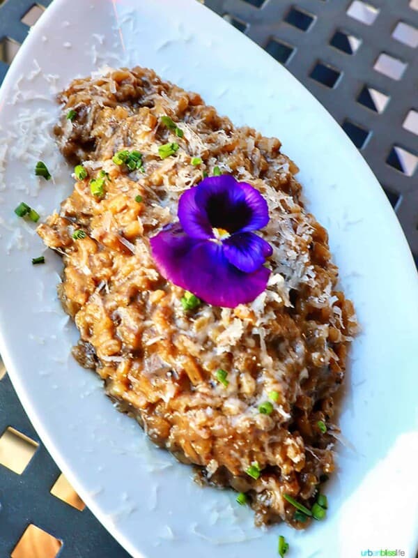 mushroom risotto at Joel Palmer House