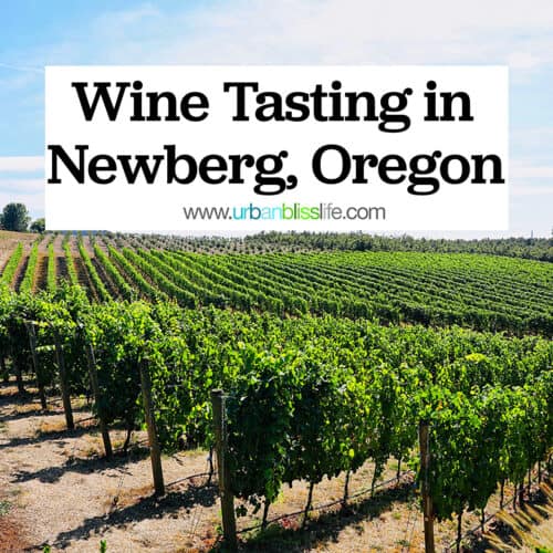 Photo of Adelsheim Vineyards and title text that reads "Wine Tasting in Newberg, Oregon."