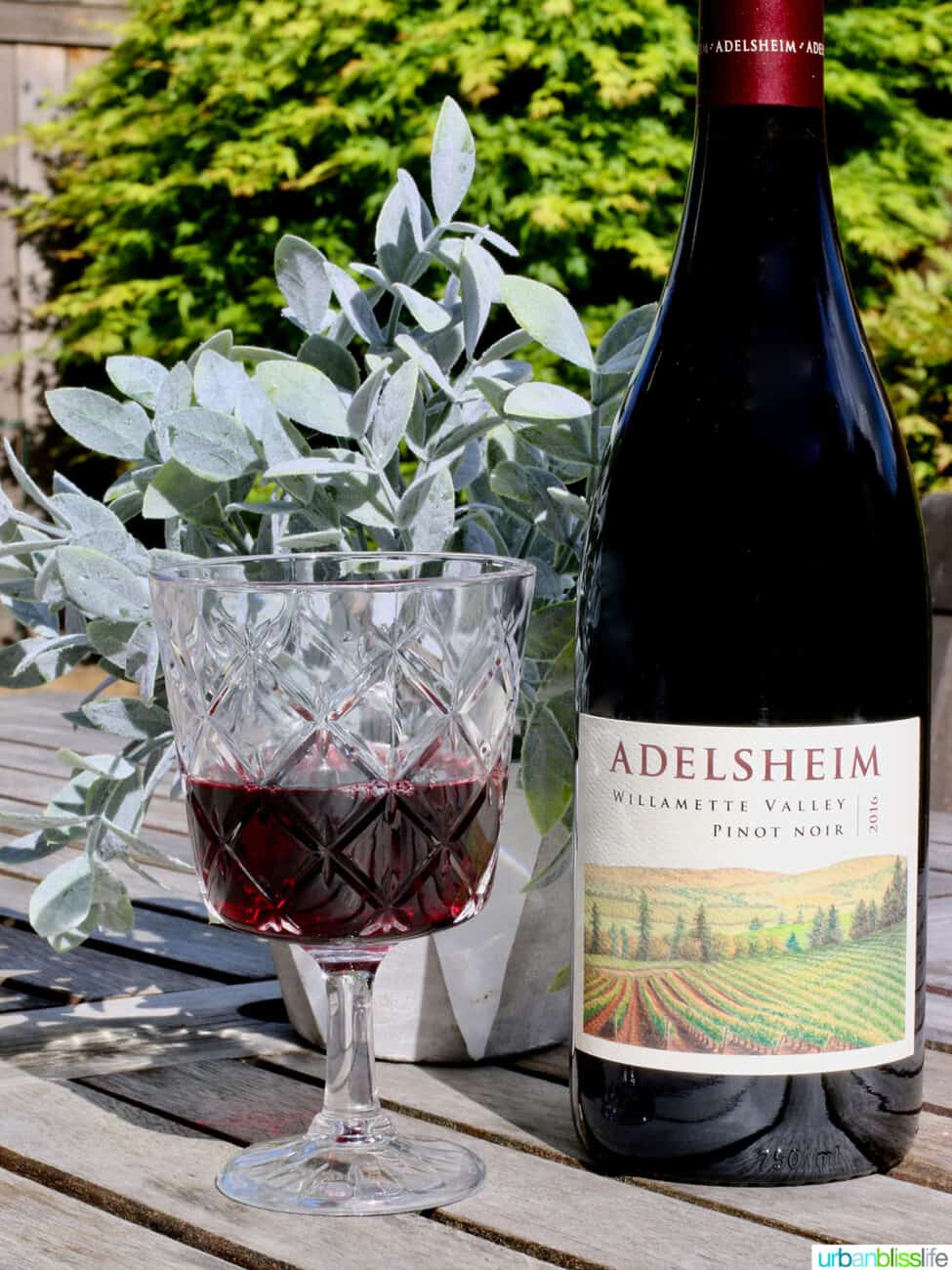 chehalem mountains AVA - Adelsheim Pinot Noir 2016