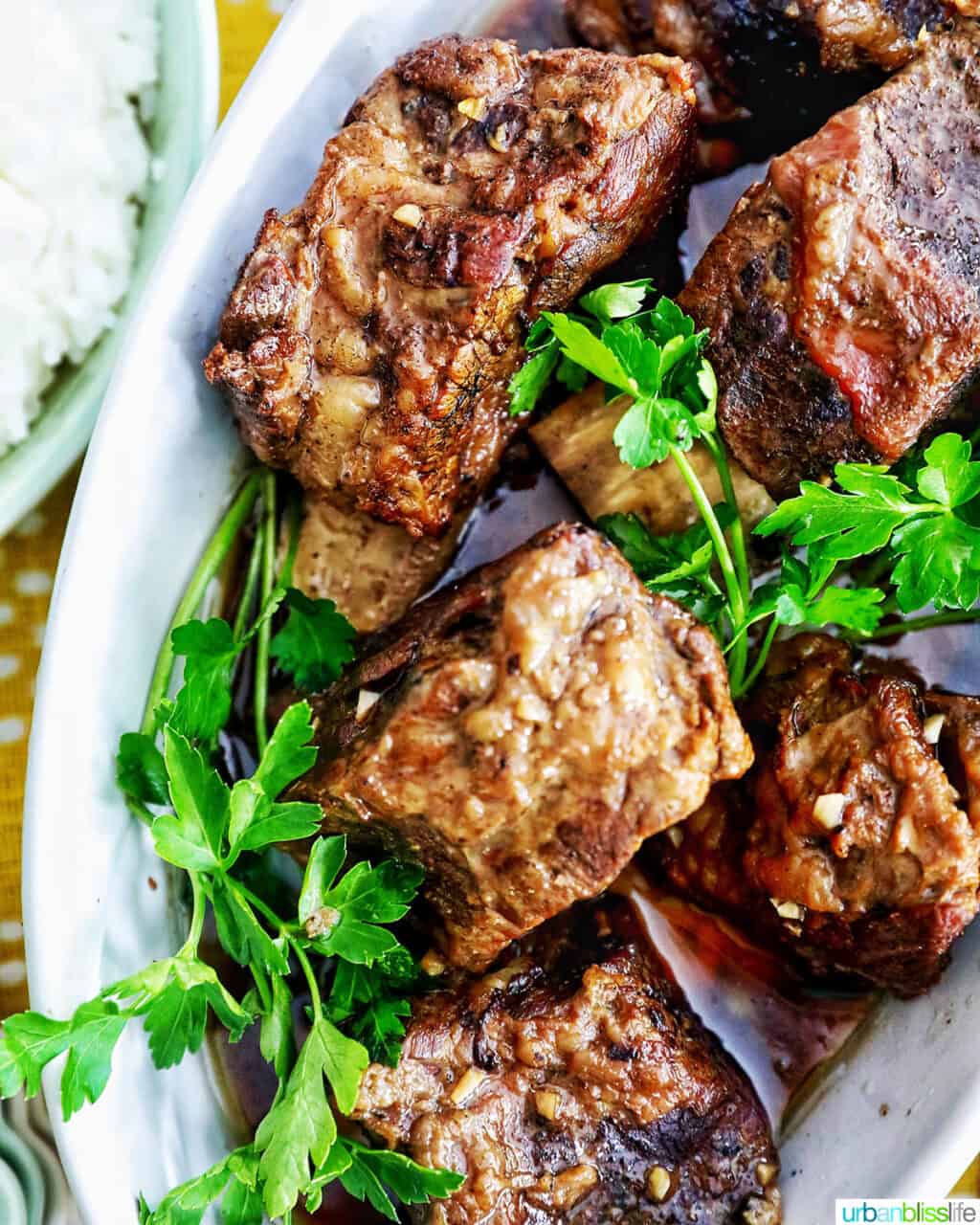 plate of  slow cooker filipino short ribs adobo