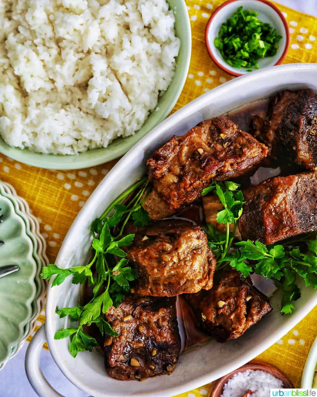 slow cooker filipino short ribs adobo with rice