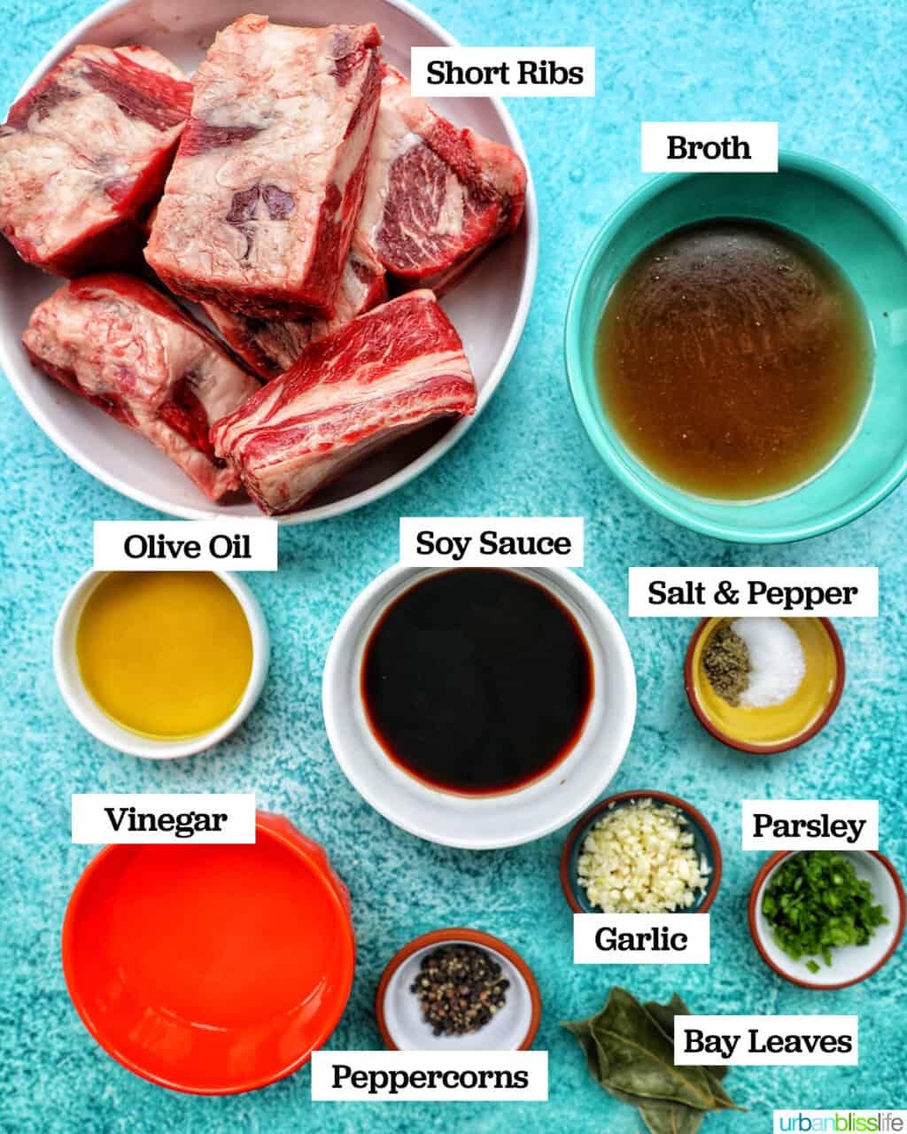 ingredients to make slow cooker filipino short ribs adobo