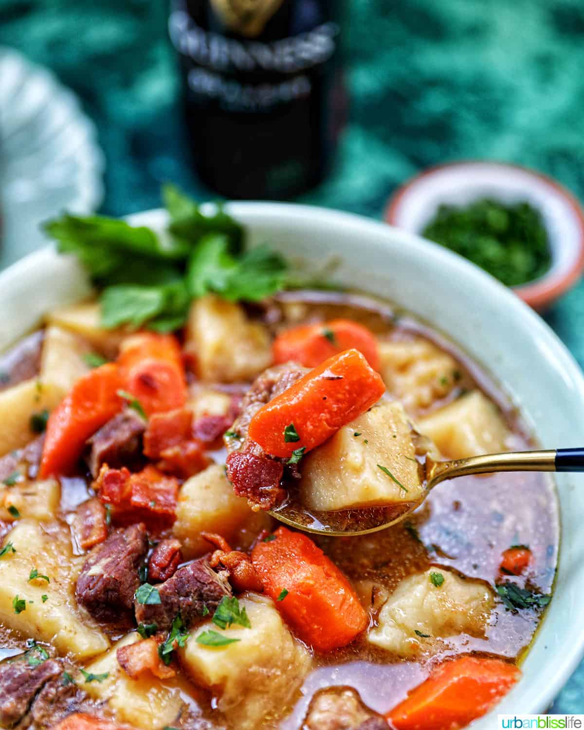 spoonful of Instant Pot Irish Lamb Stew with carrots, potatoes, bacon crumbles, and chopped herbs in a large white bowl.